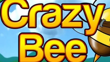 Crazy Bee