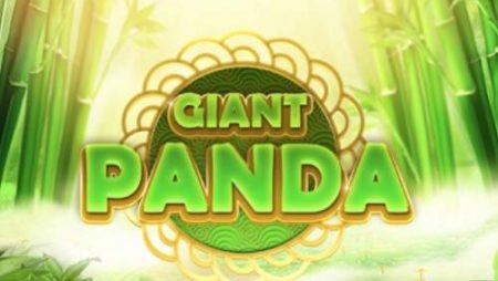 Giant Panda