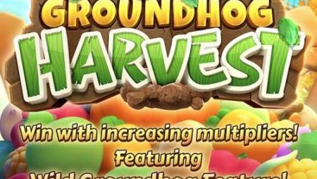 Groundhog Harvest