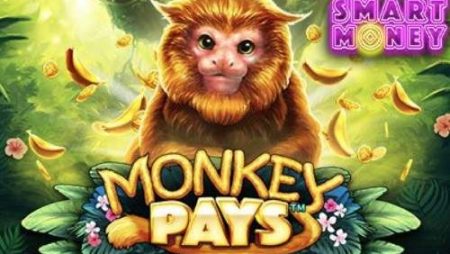 Monkey Pays