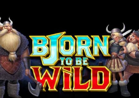 Bjorn to be Wild