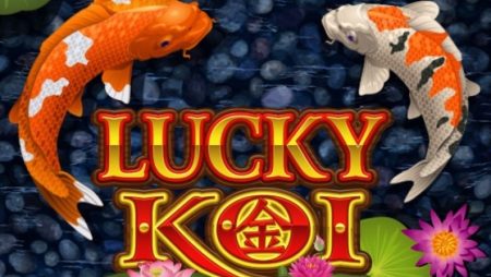 Lucky Koi