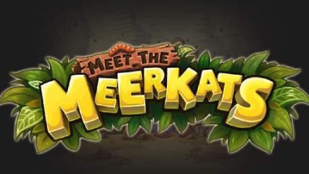 Meet the Meerkats