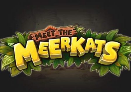 Meet the Meerkats