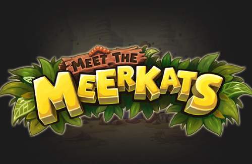 Meet the Meerkats