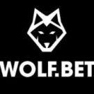WolfBet Casino